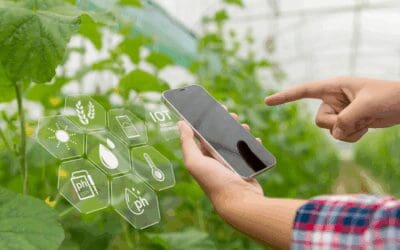 Navigating the Digital/Manual Nexus: A Holistic Approach to Enhancing Lean Operations